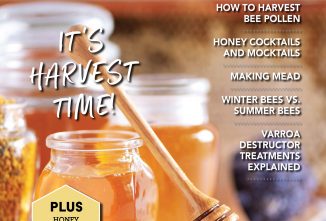 Backyard Beekeeping Fall 2022